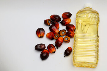 Refined & Crude Palm oil